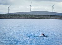 Gaddings Dam- North West