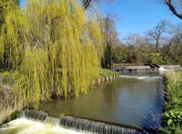 Barcombe. River Ouse