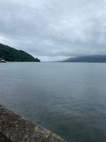 Photo 5 of Rostrevor Sea Swim