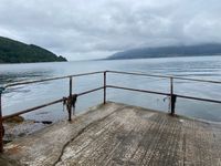 Photo 2 of Rostrevor Sea Swim