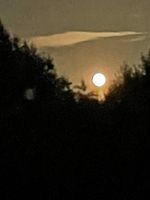 Photo 5 of Redricks Open Water Swimming Lake