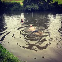 Photo 3 of Farleigh and District Swimming Club