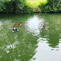 Photo 5 of Farleigh and District Swimming Club