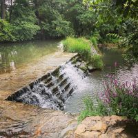 Photo 2 of Farleigh and District Swimming Club