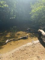 Photo 3 of River Avon