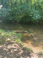 Photo 2 of River Avon