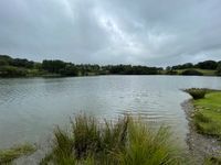 Photo 3 of Loughrigg Tarn