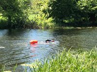 Photo 4 of Dedham Vale, River Stour