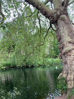 Saxon Mill Guys Cliffe River Avon