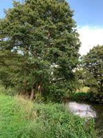 Photo 2 of Steeple Langford