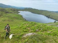 Blea Tarn Near Boot