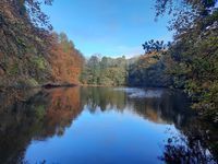 Photo 2 of Simpsons Pool