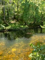 Holne Bridge, River Dart