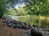River Ure - Hackfall Woods
