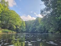 Photo 2 of River Ure - Hackfall Woods