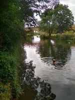 Photo 2 of Wansford Bridge