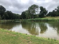 Photo 2 of Beckenham Place Park lake