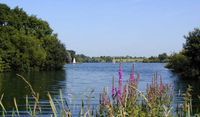 Love Open Water Dinton Pastures Country Park
