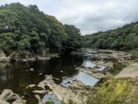 Photo 2 of Marles Wood