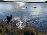 Photo 2 of Llyn Tarw