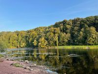 Photo 2 of Stanley swim