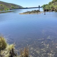 Photo 2 of Cowbury reservoir