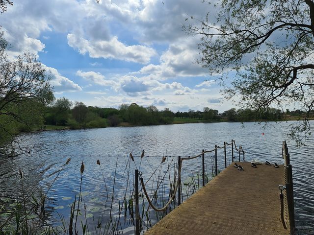 Pickmere Lake
