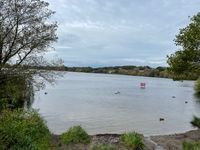 Photo 2 of Pickmere Lake