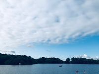 Photo 4 of Colwick Country Park (West Lake)