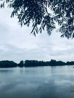 Photo 2 of Colwick Country Park (West Lake)