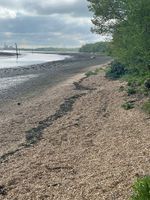 Photo 2 of Goatee Beach