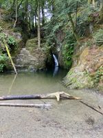 Photo 2 of Ffynone Waterfall