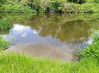 Photo 2 of East of East Lock