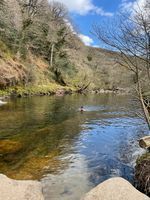 Photo 3 of Sharrah Pool, River Dart