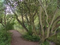 Itchen Navigation, the Hub