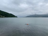 Rostrevor Sea Swim