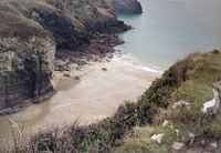 Bossiney Cove
