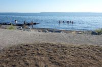 Crescent beach