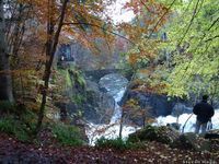 The Hermitage, Dunkeld