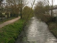 Chartham, River Great Stour