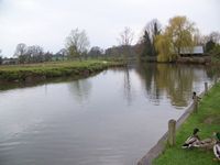 Coltishall Rising Sun, River Bure
