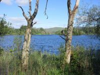 Loch of Clunie