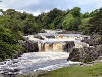 Low Force