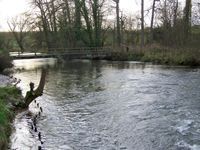 Figheldean Mill Pond