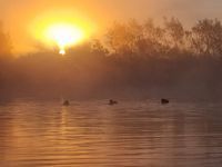 Photo 2 of Riders Hayes Mere