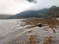Photo 2 of Loch Eck