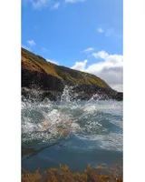 Photo 3 of Mermaids Pool.