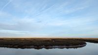 Stiffkey