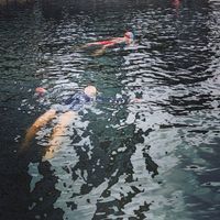 Photo 2 of Princes Dock, Swim Liverpool