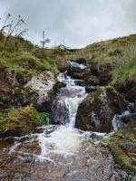 View up stream from a plunge pool